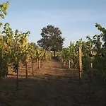 1720 Quinta Da Cancela - Winery & 4*