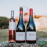 1720 Quinta Da Cancela - Winery & 4* Guimarães