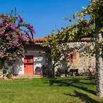 ゲストハウス 1720 Quinta Da Cancela - Winery & 4*