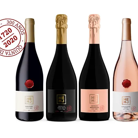 Gæstehus 1720 Quinta Da Cancela - Winery & Guimarães