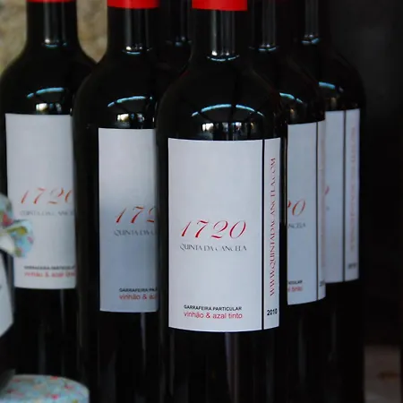 1720 Quinta Da Cancela - Winery & Guimarães
