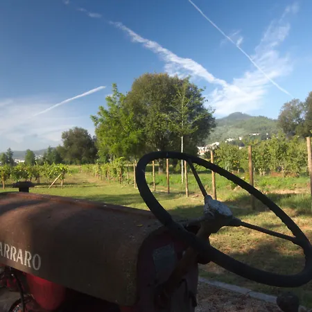 Гостевой дом 1720 Quinta Da Cancela - Winery & Гимарайнш