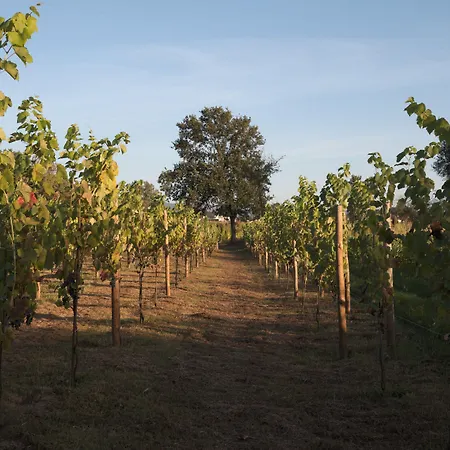 1720 Quinta Da Cancela - Winery & 4*