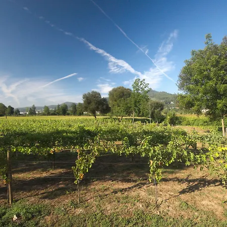 Гостевой дом 1720 Quinta Da Cancela - Winery & Гимарайнш