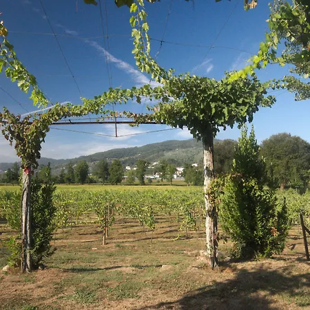 Гостевой дом 1720 Quinta Da Cancela - Winery & Гимарайнш