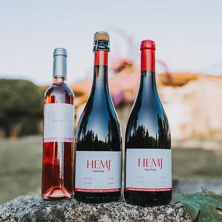 1720 Quinta Da Cancela - Winery&farmhouse 4* Guimarães