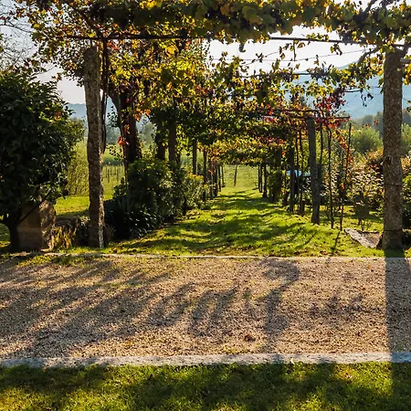 1720 Quinta Da Cancela - Winery & Gæstehus