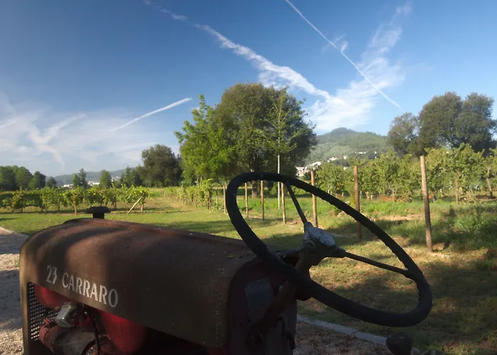 Gæstehus 1720 Quinta Da Cancela - Winery & Guimarães