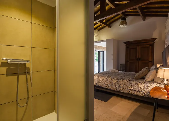 1720 Quinta Da Cancela - Winery & Gæstehus 4*