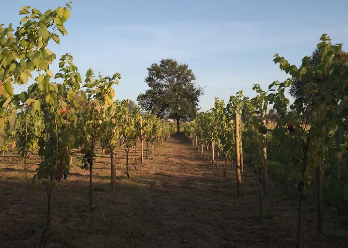 1720 Quinta Da Cancela - Winery & 4*