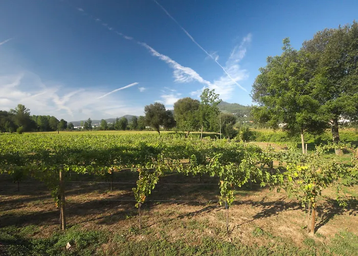 Гостевой дом 1720 Quinta Da Cancela - Winery & Гимарайнш