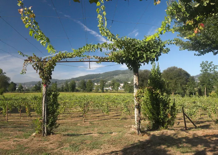 Gæstehus 1720 Quinta Da Cancela - Winery & Guimarães