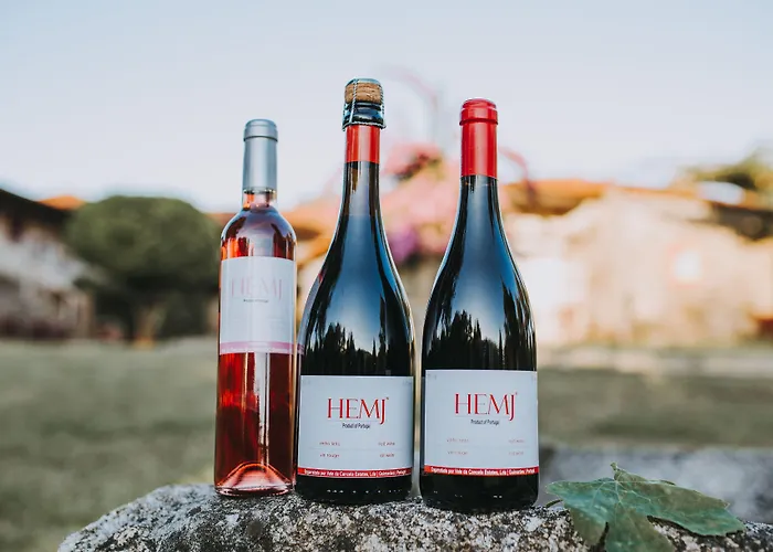 1720 Quinta Da Cancela - Winery & 4* Гимарайнш