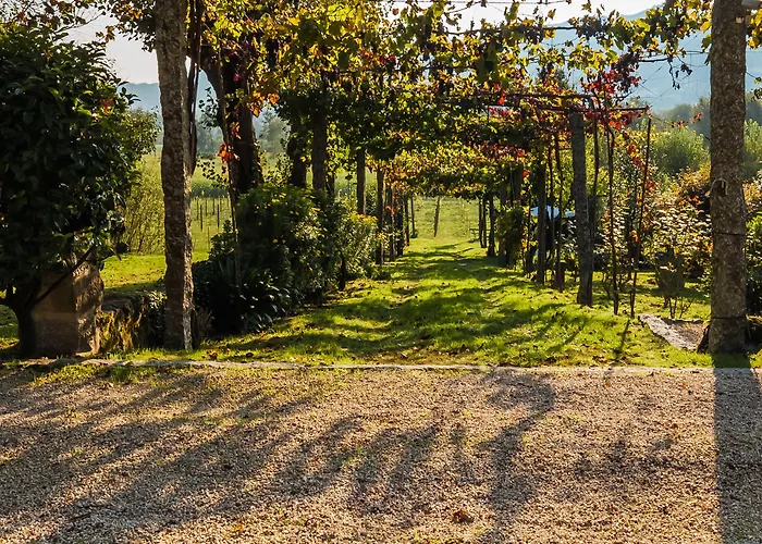 1720 Quinta Da Cancela - Winery & Gæstehus