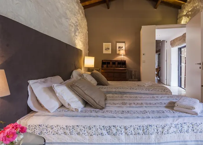 1720 Quinta Da Cancela - Winery & Gæstehus